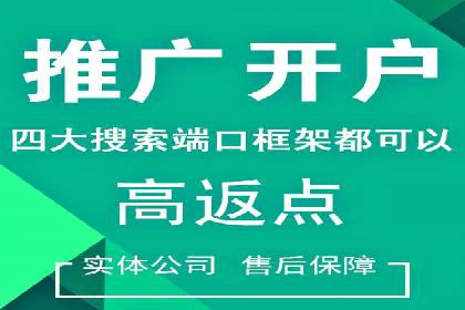 竞价推广公司案例揭秘：如何利用数据分析提升广告效果